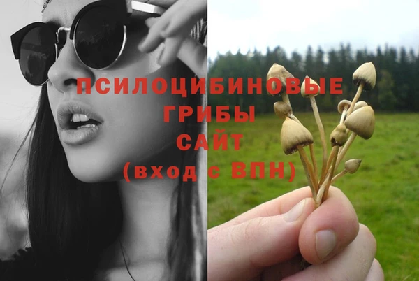 стафф Лихославль