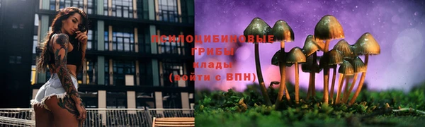 ГАЛЛЮЦИНОГЕННЫЕ ГРИБЫ Лиски