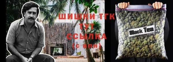 соль ск Магас
