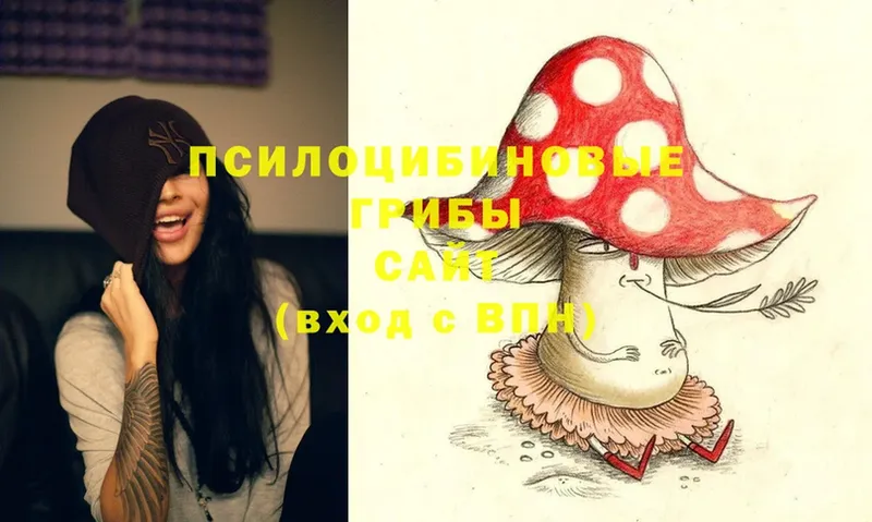 Псилоцибиновые грибы Magic Shrooms  Наволоки 